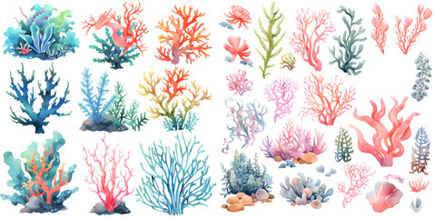 Watercolor coral reef clipart for graphic resources