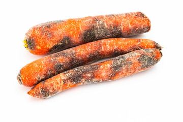 Karotten mit Schwarzfäule