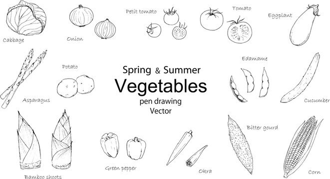 春と夏の野菜のペン画セット