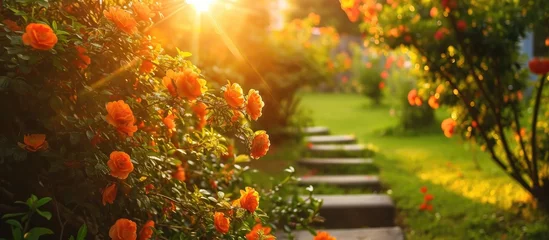 Foto op Aluminium Orange-flowered chaenomeles japonica shrubs bloom in a garden with green grass and a small sunny staircase. © 2rogan