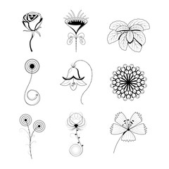 Big Abstract Set Doodle Elements Hand Drawn Collection Botanic Herbal Flora Leaf Branch Vine Flower Plant Elements F Vector Desgin Style