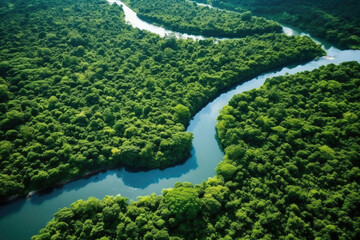 River nature forest aerial green travel landscape