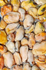 Packed, Cold Mussels Meat, Iced Seafood, Cooked Shellfish, texture. Vertical photo
