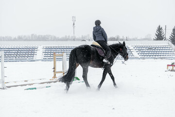 horse winter snow animal nature white equestrian cold young female woman beauty horseback caucasian ride black equine fa