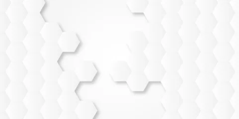 Foto op Plexiglas Abstract 3d background with hexagons pattern with hexagonal white and gray technology line paper background. Hexagonal vector grid tile and mosaic structure mess cell. white and gray hexagon. © MdLothfor