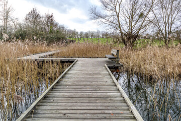 Wooden zig zag path or bridge on swampy ground with bench, water and wild grass, bare trees against...