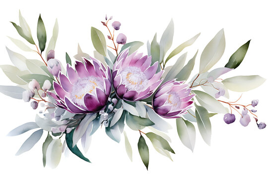 Fototapeta Watercolor Floral Illustration: Purple Flowers and Eucalyptus Greenery Bouquet Frame