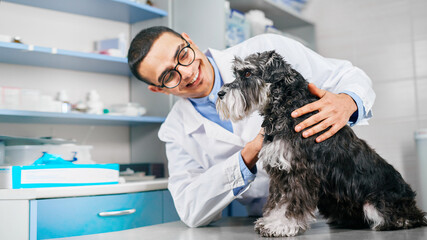 Smiling veterinarian with black terrier dog at the visit