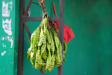 Bunch of fresh tropical stinky beans at traditional market in Indonesia - obrazy, fototapety, plakaty