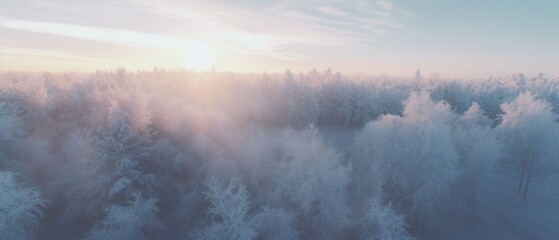 Scenic aerial view of snowy tree tops with white branches growing in winter forest in daytime in cold weather.