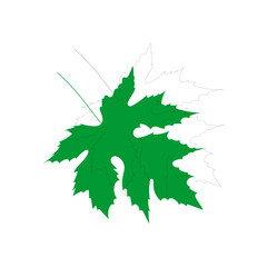 Fototapeta premium vector element leaf in green color leaf