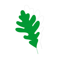 vector element leaf in green color leaf