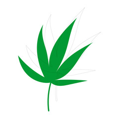 vector element leaf in green color leaf