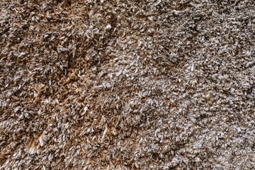 Texture of a wooden target being shot at with a bow, close-up of the back of the target