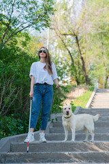 Naklejka na ściany i meble Young blind woman walking down the stairs in the park with a tactile cane and guide dog. 