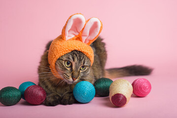 Easter Bunny. Tabby cat with bunny ears and easter eggs on pink background. Funny Easter background. - obrazy, fototapety, plakaty