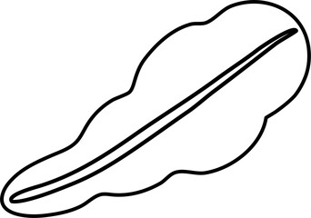 lettuce slice cartoon lineart