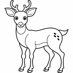 deer black and white vector illustration for coloring book	