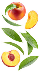 Fresh organic peach isolated
