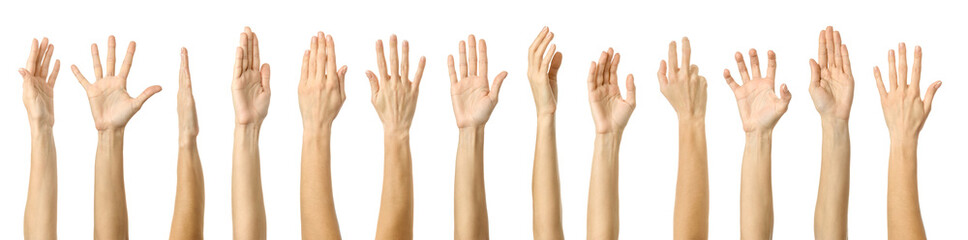 Raised hand. Multiple images set of female caucasian hand with french manicure showing Raised hand gesture