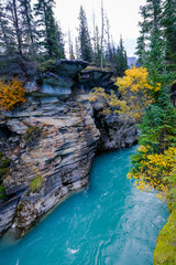 Athabasca Falls: Nature's Ballet. Eternal dance of water carving cliffs through quartzite and limestone—a mesmerizing tale of nature's relentless artistry. Alberta, Canada. October 2021