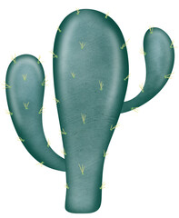Green Cactus Plants cactus and digital art PNG.