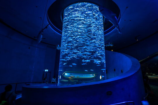 Hong Kong, China - Apr 22, 2019: Giant fish tank in Ocean Park aquarium