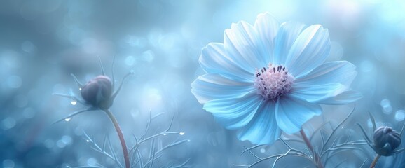 Blue Flower Watercolor Art Triptych Wall, Wallpaper Pictures, Background Hd
