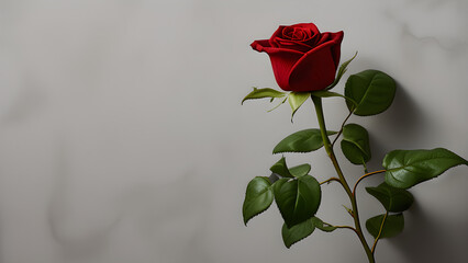 red rose on a green background