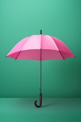 Classic Pink Umbrella with Curved Handle