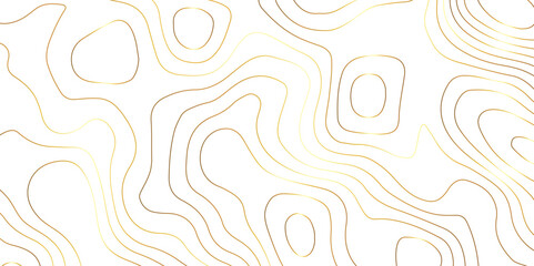 Abstract background with topographic contours map with geographic golden line map .white wave paper curved reliefs abstract background .vector illustration of topographic line contour map design .