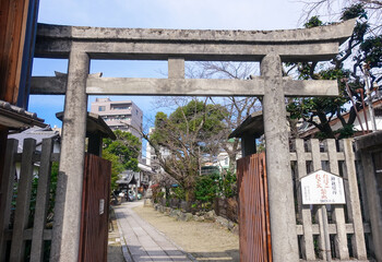 梅の花が咲き始めた菅大臣神社（京都）