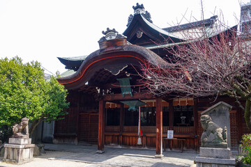 梅の花が咲き始めた菅大臣神社（京都）