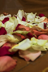 Rose petals on the wooden floor