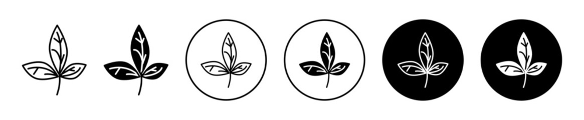 Basil icon sign set in outline style graphics design