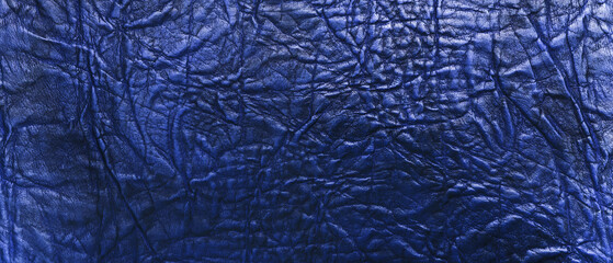 Fabulously beautiful blue rough skin close-up. Panorama. Suitable as a banner or wallpaper.