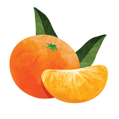 mandarin orange fruit Design elements. watercolour style vector illustration.