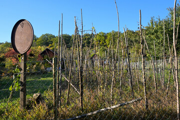 Vineyard becomes garden: Garden with former vineyard sign and vineyard hut in the autumnal evening...