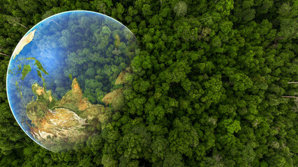 Aerial top view asian tropical rainforest green forest tree with globe planet, Tropical jungle forest green globe planet in your hands, Save Earth, Environment Concept.