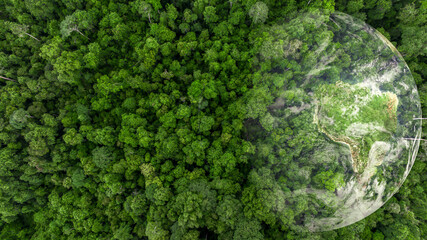 Aerial top view asian tropical rainforest green forest tree with globe planet, Tropical jungle...