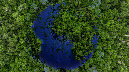 Aerial top view asian tropical rainforest green forest tree with globe planet, Tropical jungle forest green globe planet in your hands, Save Earth, Environment Concept.