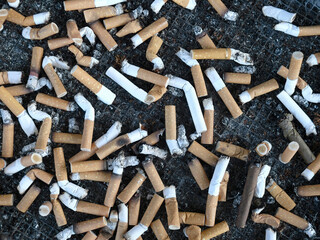Bunch of cigarette butts in an ashtray