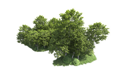 Green forest isolated on background. 3d rendering - illustration