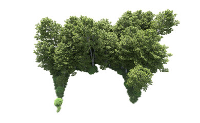 Green forest isolated on background. 3d rendering - illustration