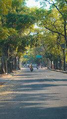 autumn in the city