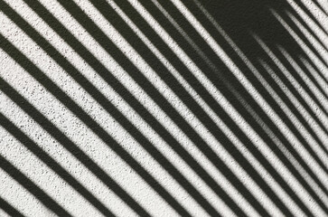 Shadow of palm leaves on cement wall