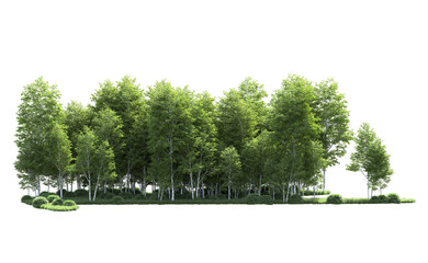 Green forest isolated on background. 3d rendering - illustration