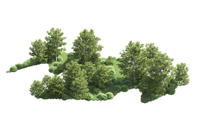 Green forest isolated on background. 3d rendering - illustration