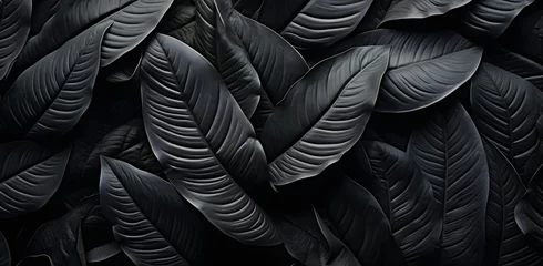 Fototapeten Black abstract background design. Premium texture for banner, business backdrop. Dark horizontal vector template © Iwankrwn