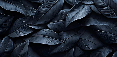 Fototapeten Black abstract background design. Premium texture for banner, business backdrop. Dark horizontal vector template © Iwankrwn